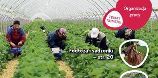 Jagodnik 5/2018 już w sprzedaży