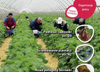Jagodnik 5/2018 już w sprzedaży