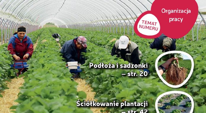 Jagodnik 5/2018 już w sprzedaży