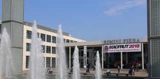 Macfrut 2021 coraz bliżej!