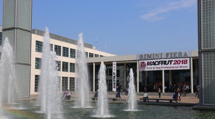 Macfrut – coraz ciewkawszy