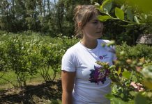 Produkcja borówki jest bardzo wymagająca