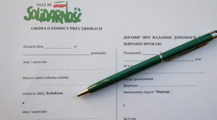 Wzór umowy pomocnika przy zbiorach i użyczenia lokalu