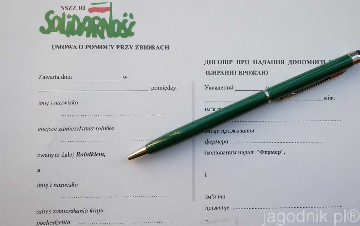 Wz r Umowy Pomocnika Przy Zbiorach I U yczenia Lokalu Aktualno ci 
