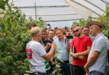 Malinowe Factory 2018 – finał 26 sierpnia