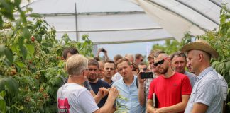 Finał Malinowego Factory 2018 – program