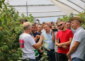 Malinowe Factory 2018 – finał 26 sierpnia