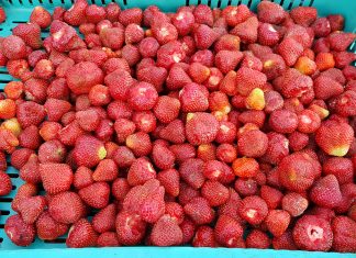 Döhler podał minimalne ceny skupu owoców na 2023 rok