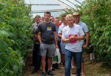 Maliny – kryzys, czy konieczność zmian? Odpowiedź na Malinowe Factory 2018