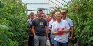 Maliny – kryzys, czy konieczność zmian? Odpowiedź na Malinowe Factory 2018