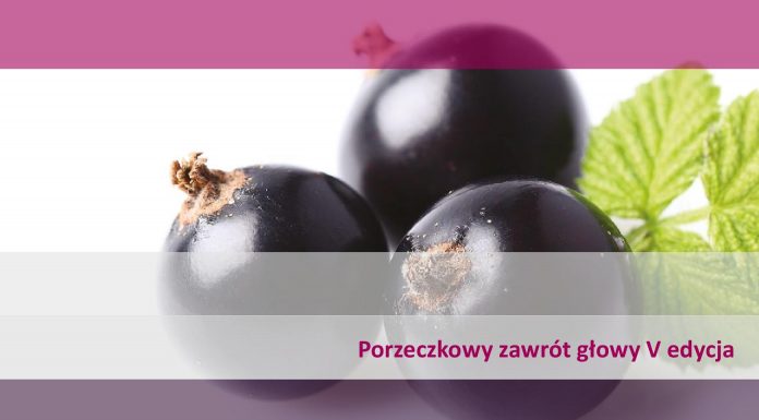 Porzeczkowy zawrót głowy V edycja – Piotrowice Wielkie
