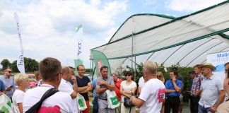 Ocena odmian i systemów uprawy malin – Malinowe Warsztaty 8 września 2019