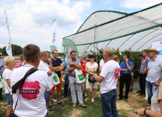 Ocena odmian i systemów uprawy malin – Malinowe Warsztaty 8 września 2019
