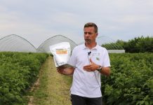 Biologiczna ochrona w uprawie maliny jesiennej