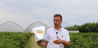 Biologiczna ochrona w uprawie maliny jesiennej