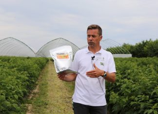 Biologiczna ochrona w uprawie maliny jesiennej