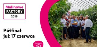 Półfinał Malinowego Factory już 17 czerwca – ostatnie dni na rejestrację
