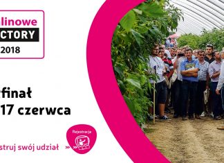 Półfinał Malinowego Factory już 17 czerwca – ostatnie dni na rejestrację