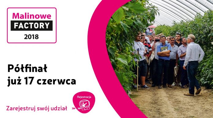Półfinał Malinowego Factory już 17 czerwca – ostatnie dni na rejestrację