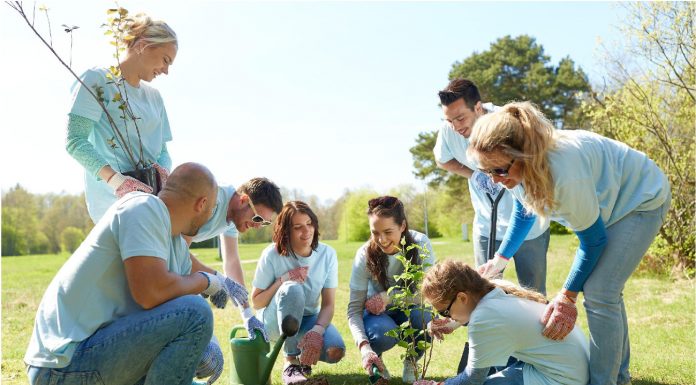 Zgłoś się po dotację na własną akcję!