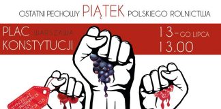 Protest rolników 13 lipca w Warszawie