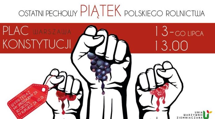 Protest rolników 13 lipca w Warszawie