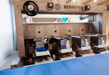 Pierwsza linia do sortowania borówki od BerryPro