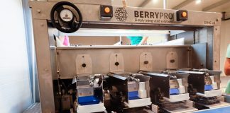 Pierwsza linia do sortowania borówki od BerryPro