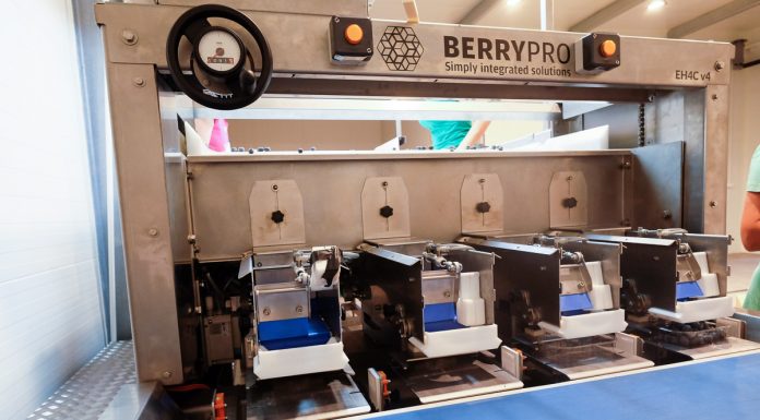 Pierwsza linia do sortowania borówki od BerryPro