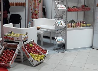 Ewa-Bis na na światowych rynkach