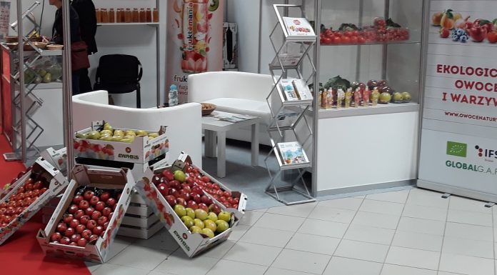 Ewa-Bis na na światowych rynkach