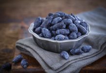 Soloberry rozwija rynek jagody kamczackiej