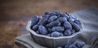 Gdzie można uprawiać jagodę kamczacką?