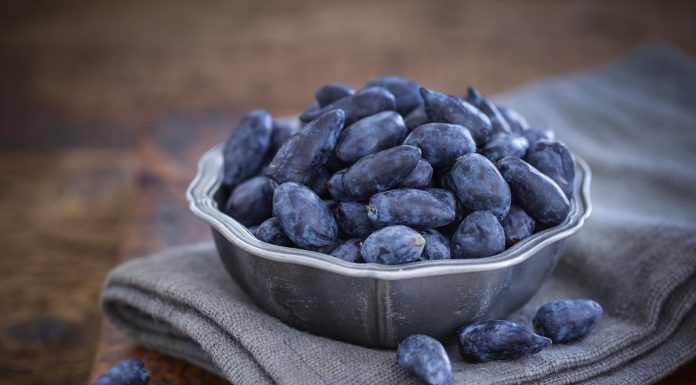 Gdzie można uprawiać jagodę kamczacką?