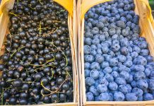 W trosce o jakość owoców miękkich