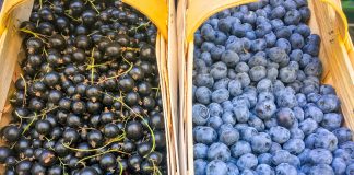 W trosce o jakość owoców miękkich