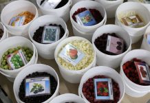 Ile importujemy malin z Ukrainy?