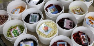 Ile importujemy malin z Ukrainy?