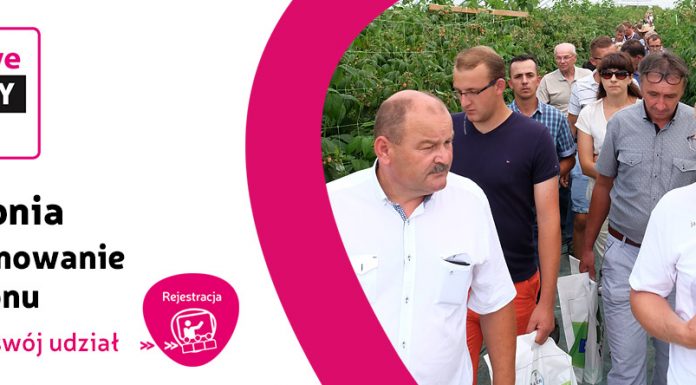 Finał Malinowego Factory 2018 – zarejestruj swój udział!