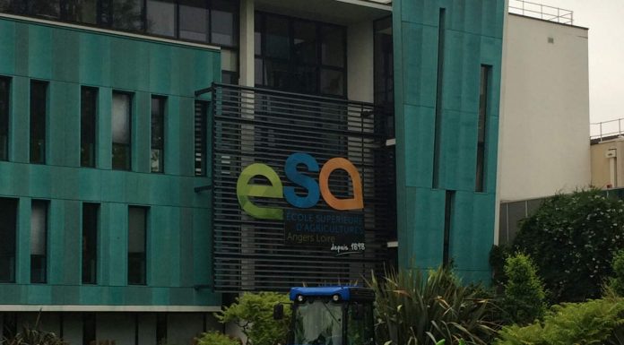 Nowy prezes IBA wyznacza sobie i organizacji nowe zadania