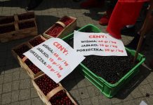 Spotkanie plantatorów z przedstawicielami rządu