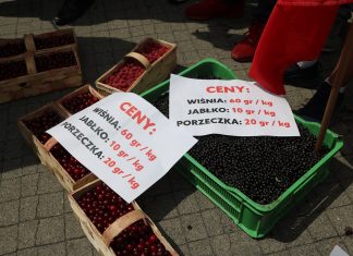 Spotkanie plantatorów z przedstawicielami rządu