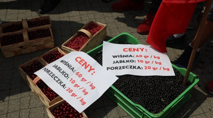 Spotkanie plantatorów z przedstawicielami rządu