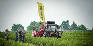 Pokaz zbioru jagody kamczackiej