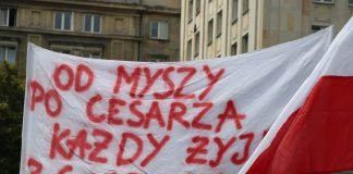 Umowa kontraktacyjna – głos za i przeciw oraz inne rozwiązanie