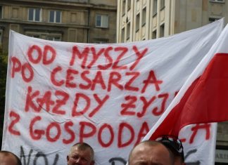 Umowa kontraktacyjna – głos za i przeciw oraz inne rozwiązanie