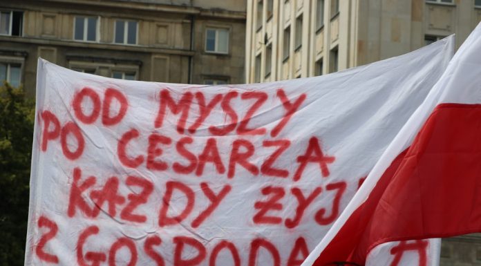 Umowa kontraktacyjna – głos za i przeciw oraz inne rozwiązanie