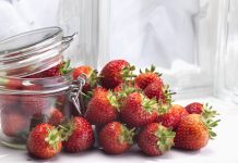 Truskawka ‘Ava Star’ zwycięska w UK