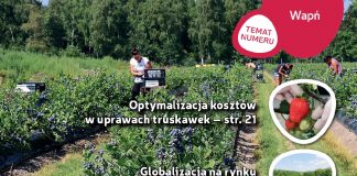 Jagodnik 6/2018 – już w sprzedaży