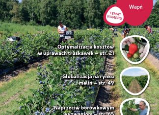 Jagodnik 6/2018 – już w sprzedaży